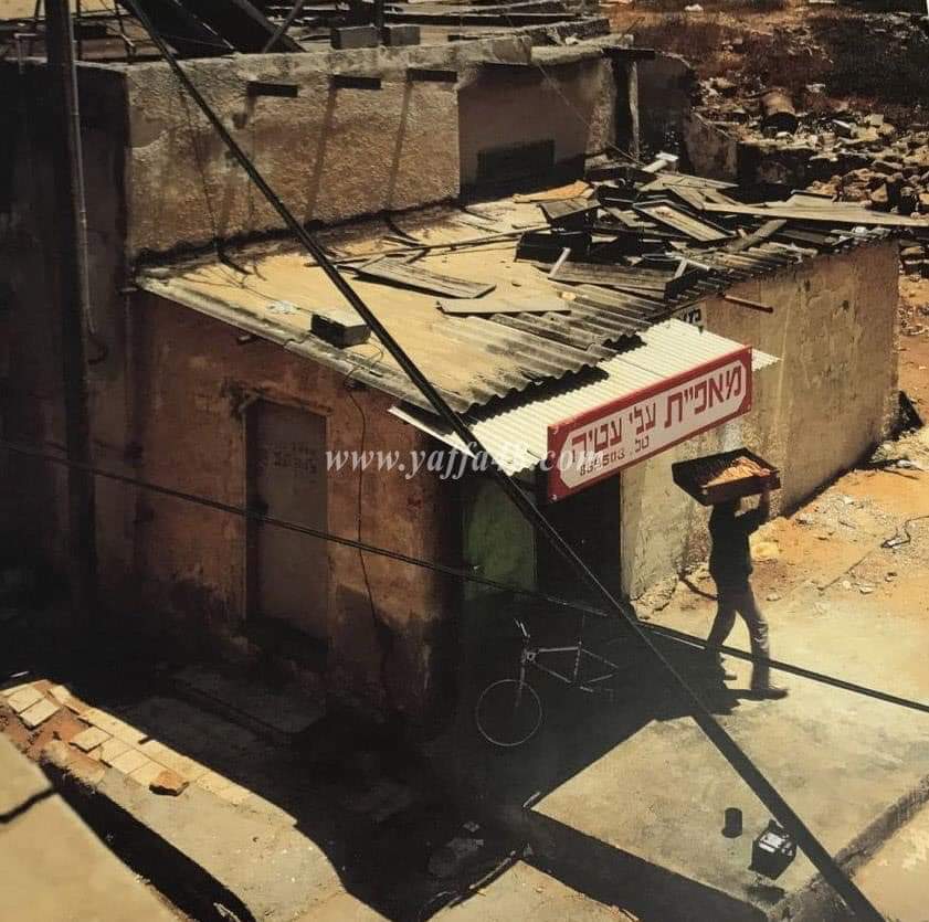 WhatsApp Image 2020-05-03 at 9.57.01 PM.jpeg.jpeg